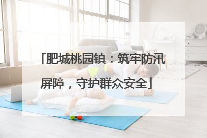 肥城桃园镇：筑牢防汛屏障，守护群众安全
