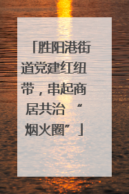 胜阳港街道党建红纽带，串起商居共治 “烟火圈”