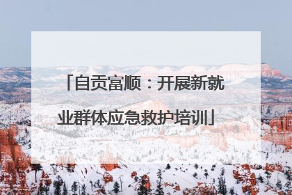 自贡富顺：开展新就业群体应急救护培训