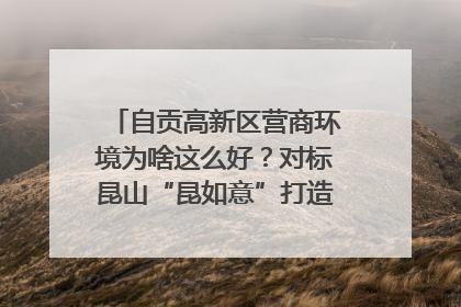 自贡高新区营商环境为啥这么好？对标昆山“昆如意”打造自贡“高兴办”｜美好生活有“盐”味