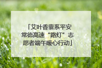 艾叶香囊系平安 常德高速“路灯”志愿者端午暖心行动
