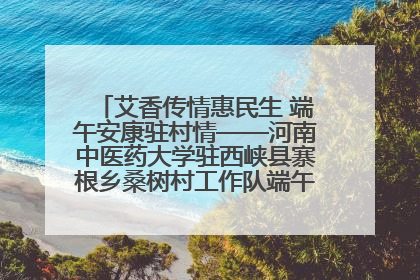 艾香传情惠民生 端午安康驻村情——河南中医药大学驻西峡县寨根乡桑树村工作队端午中医惠民记