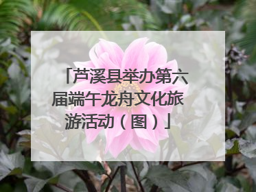 芦溪县举办第六届端午龙舟文化旅游活动（图）