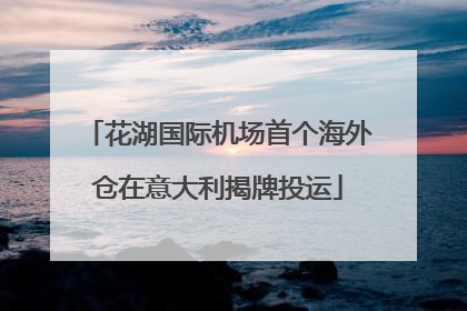 花湖国际机场首个海外仓在意大利揭牌投运