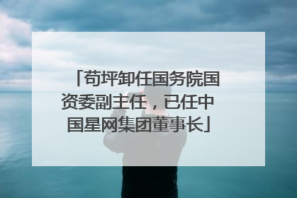 苟坪卸任国务院国资委副主任，已任中国星网集团董事长