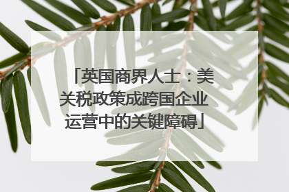 英国商界人士：美关税政策成跨国企业运营中的关键障碍