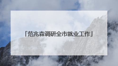 范兆森调研全市就业工作