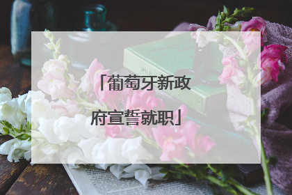 葡萄牙新政府宣誓就职