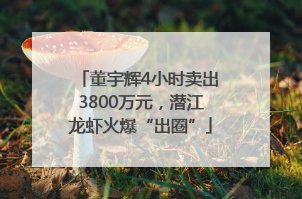董宇辉4小时卖出3800万元，潜江龙虾火爆“出圈”