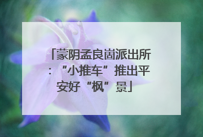 蒙阴孟良崮派出所：“小推车”推出平安好“枫”景