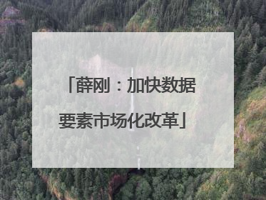 薛刚：加快数据要素市场化改革