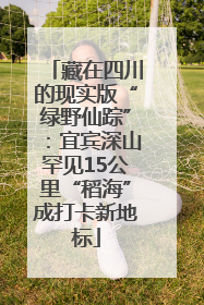藏在四川的现实版“绿野仙踪”：宜宾深山罕见15公里“稻海”成打卡新地标