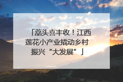 藠头喜丰收！江西莲花小产业撬动乡村振兴“大发展”
