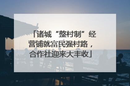 诸城“整村制”经营铺就富民强村路，合作社迎来大丰收