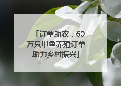 订单助农，60万只甲鱼养殖订单助力乡村振兴