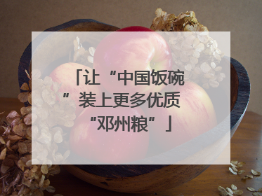 让“中国饭碗”装上更多优质“邓州粮”