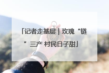 记者走基层｜玫瑰“链”三产 村民日子甜