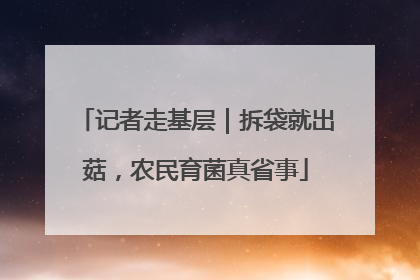 记者走基层｜拆袋就出菇，农民育菌真省事
