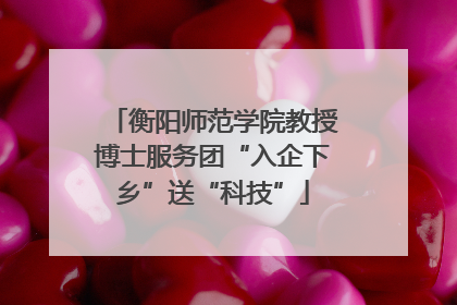 衡阳师范学院教授博士服务团“入企下乡”送“科技”