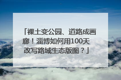 裸土变公园、道路成画廊！淄博如何用100天改写路域生态版图？