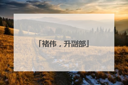 褚伟，升副部