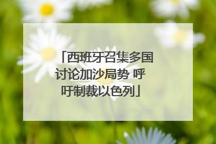 西班牙召集多国讨论加沙局势 呼吁制裁以色列