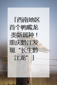 西南地区首个鸭嘴龙类新属种！重庆黔江发现“长生黔江龙”