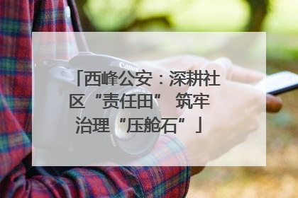 西峰公安：深耕社区“责任田” 筑牢治理“压舱石”
