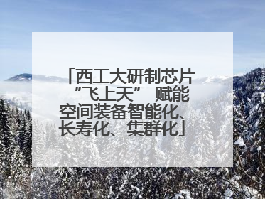 西工大研制芯片“飞上天” 赋能空间装备智能化、长寿化、集群化