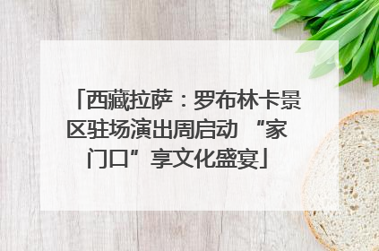 西藏拉萨：罗布林卡景区驻场演出周启动 “家门口”享文化盛宴