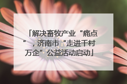 解决畜牧产业“痛点”，济南市“走进千村万企”公益活动启动