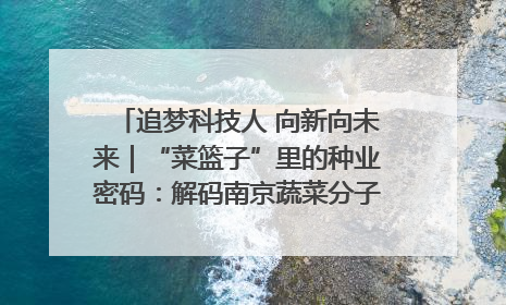 追梦科技人 向新向未来｜“菜篮子”里的种业密码：解码南京蔬菜分子育种的创新之路