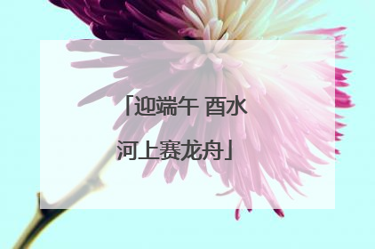 迎端午 酉水河上赛龙舟