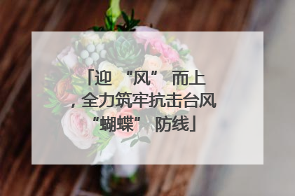 迎 “风” 而上，全力筑牢抗击台风 “蝴蝶” 防线