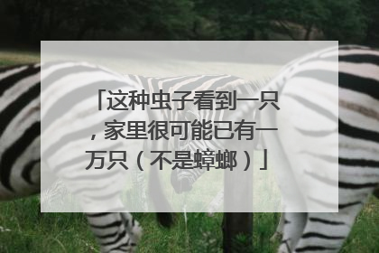 这种虫子看到一只，家里很可能已有一万只（不是蟑螂）