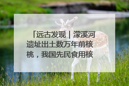 远古发现｜濛溪河遗址出土数万年前核桃，我国先民食用核桃历史大幅提前