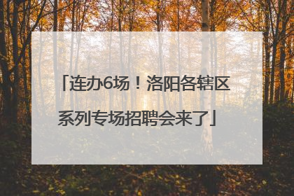 连办6场！洛阳各辖区系列专场招聘会来了