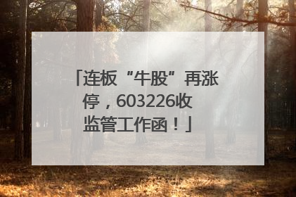 连板“牛股”再涨停，603226收监管工作函！