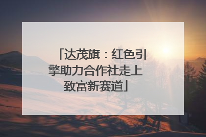 达茂旗：红色引擎助力合作社走上致富新赛道