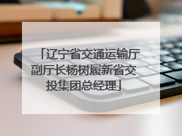 辽宁省交通运输厅副厅长杨树履新省交投集团总经理
