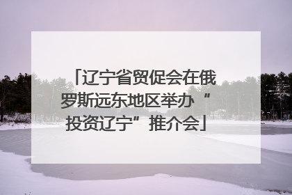 辽宁省贸促会在俄罗斯远东地区举办“投资辽宁”推介会