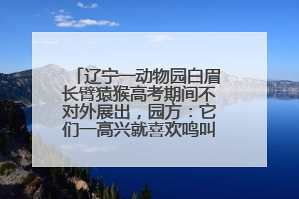 辽宁一动物园白眉长臂猿猴高考期间不对外展出，园方：它们一高兴就喜欢鸣叫，怕影响考试