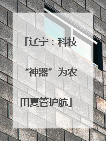 辽宁：科技“神器”为农田夏管护航