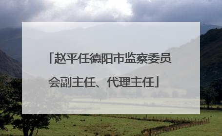 赵平任德阳市监察委员会副主任、代理主任