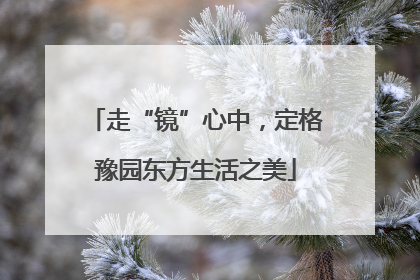 走“镜”心中，定格豫园东方生活之美