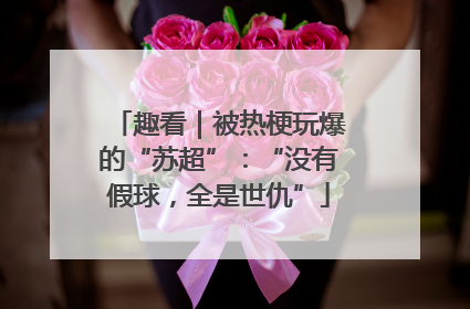 趣看｜被热梗玩爆的“苏超”：“没有假球，全是世仇”