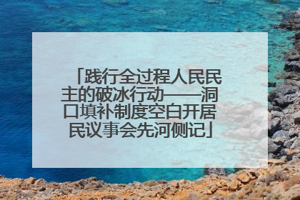 践行全过程人民民主的破冰行动——洞口填补制度空白开居民议事会先河侧记