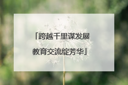 跨越千里谋发展 教育交流绽芳华