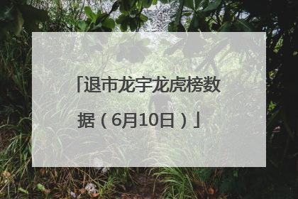 退市龙宇龙虎榜数据（6月10日）