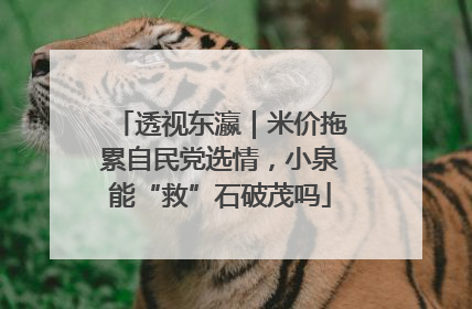透视东瀛｜米价拖累自民党选情，小泉能“救”石破茂吗